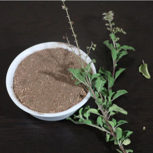 Tulsi Powder Benefits Top Benefits of Holy Basil Powder