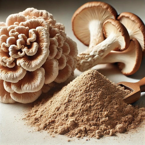 Top benefits of Maitake Mushroom Extract Powder