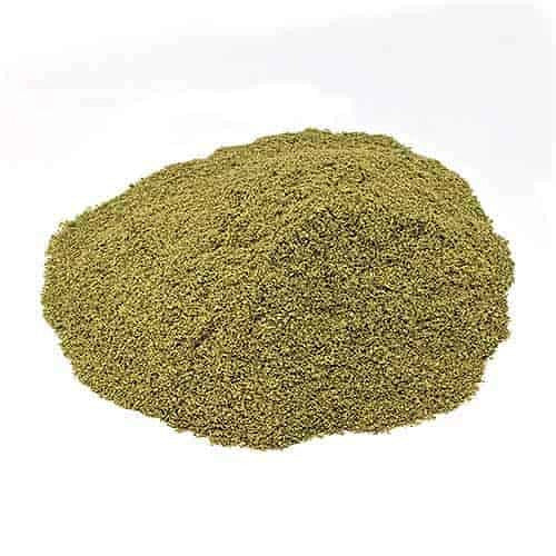 Top Benefits of Mimosa Pudica Powder