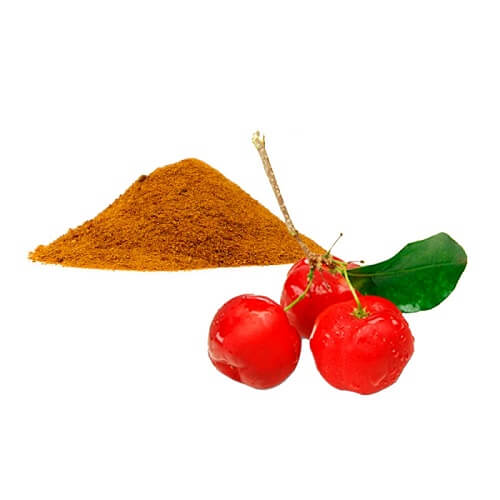 Top Benefits of Acerola Extract Powder