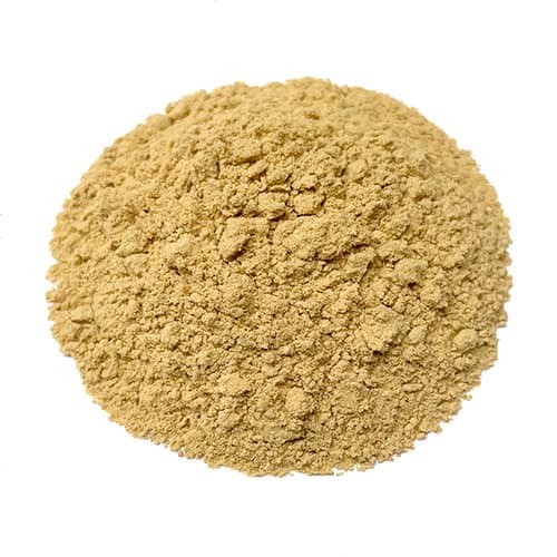 Top Benefits of Chicory Root Powder - Medikonda Nutrients