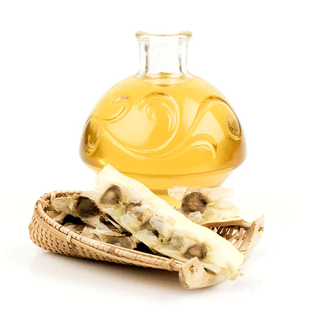 Moringa Seed Oil B2B Bulk Wholesale Suppliers