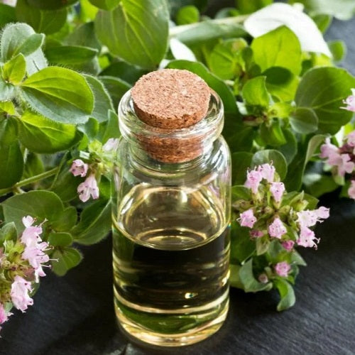 Top benefits of Oregano Leaf Oil