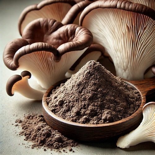 Top benefits of Oyster Mushroom Extract Powder