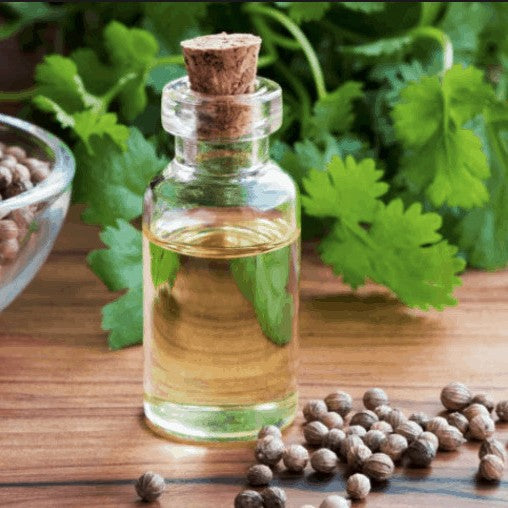 Coriander Seed Essential Oil