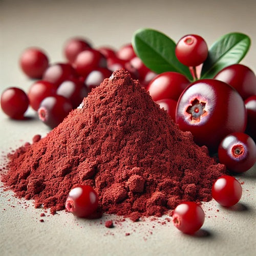 Cranberry Extract Powder