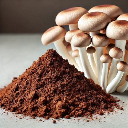 Enoki Mushroom Extract Powder