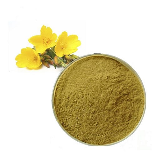 Evening-Primrose Powder