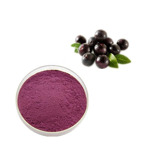 Maqui Berry Extract Powder