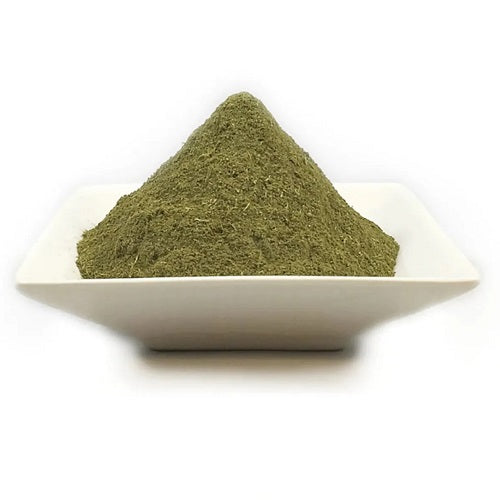 Matico Extract Powder