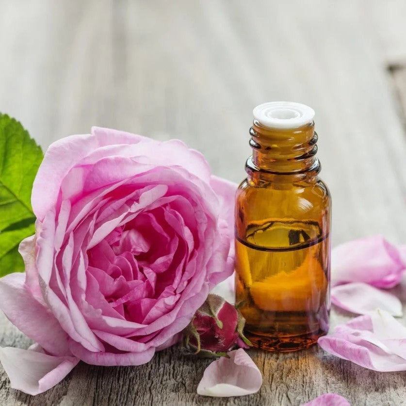 Rose Absolute Essential Oil