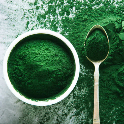 Spirulina Extract Powder