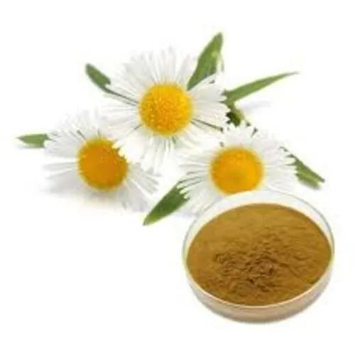 Chamomile Extract Powder