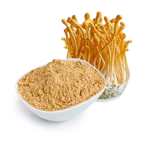 Cordyceps Mushroom Powder