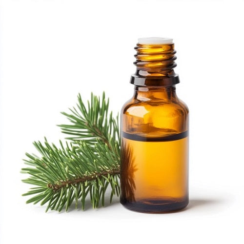 Hemlock Spruce Essential Oil