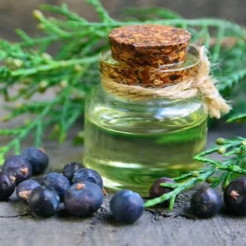 Juniper Berry Essential Oil