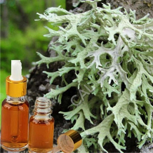 Oakmoss Absolute Oil