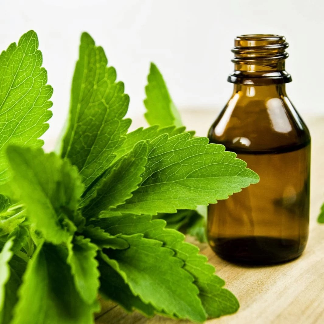 Stevia Leaf Extract Oil