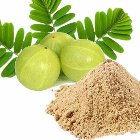 Amla Extract Powder