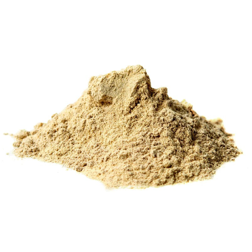 Astragalus Extract Powder