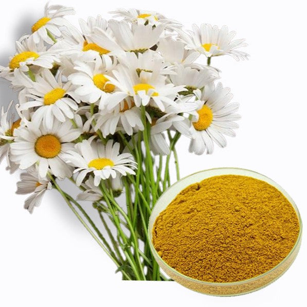 Freeze Dried Chamomile Powder