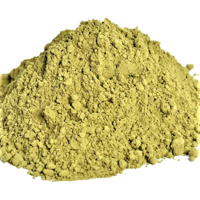 Ginkgo Leaf Powder