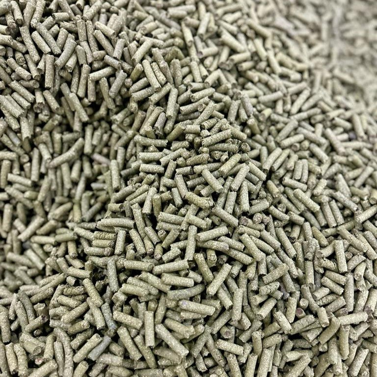 Green Raw Papaya Pellets for Horse Feed