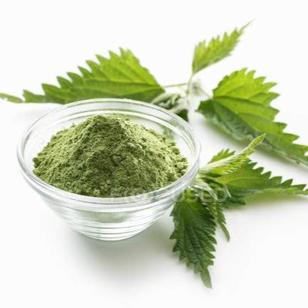 Nettle Leaf Powder