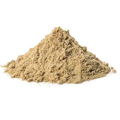 Pumpkin Seed Extract Powder 10:1