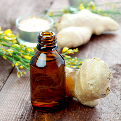 Ginger Essential Oil