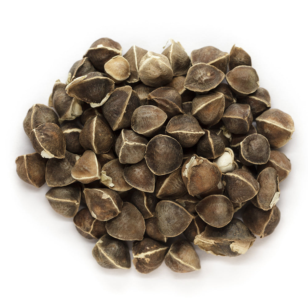 Moringa Seeds Wingless