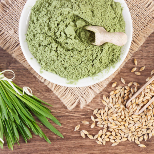 Barley Grass Powder