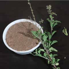 Tulsi Leaf Holy Basil Powder Manufacturers Wholesale Bulk