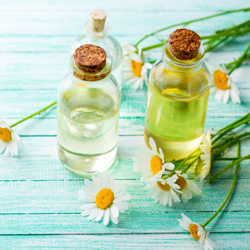 Chamomile Essential Oil