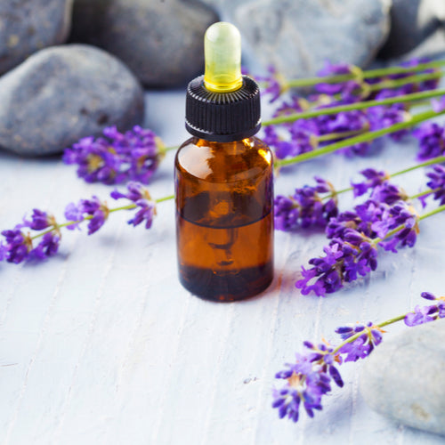 Lavender Essential Oil