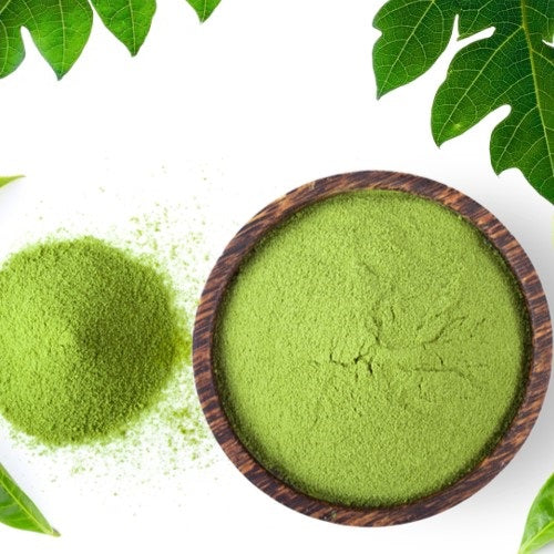 Papaya Leaf Powder