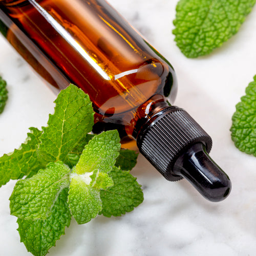 Spearmint Essential Oil