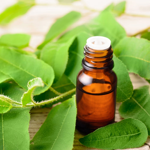 Lemon Eucalyptus Essential Oil