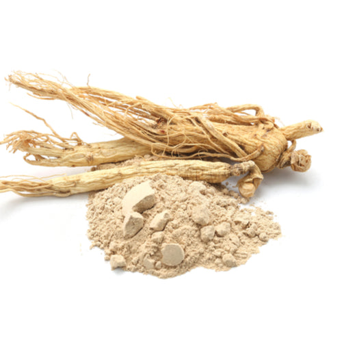 Shatavari Roots Asparagus racemosus Powder